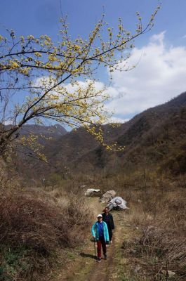 秦岭哪个峪口适合初学者骑摩托？-千年新手村怎么进