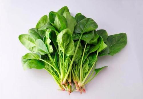 一个普通家庭一天用多少钱买菜才算合适？-菠菜理财新手版
