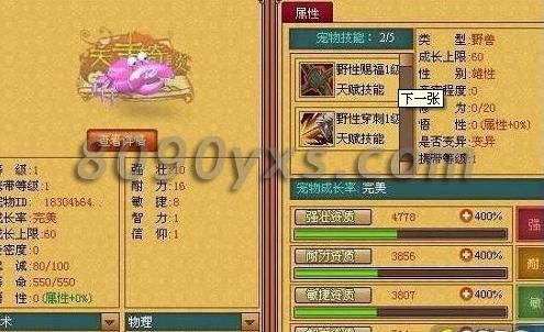 天书奇谈刺客带什么宠物？-天书奇谈新手宠物大全