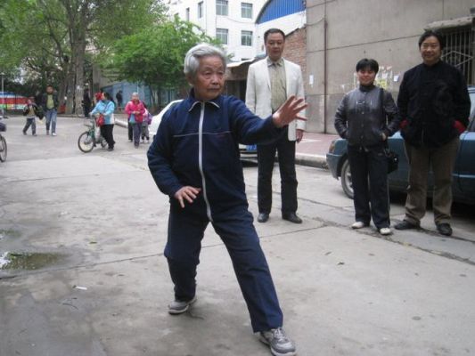 郭云深半步崩拳故事？-拳师拳师 新手镯 2017