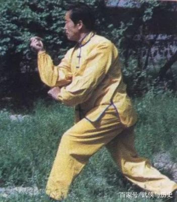 郭云深半步崩拳故事？-拳师拳师 新手镯 2017