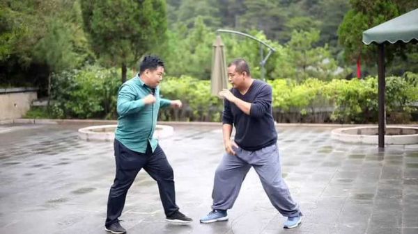 郭云深半步崩拳故事？-拳师拳师 新手镯 2017