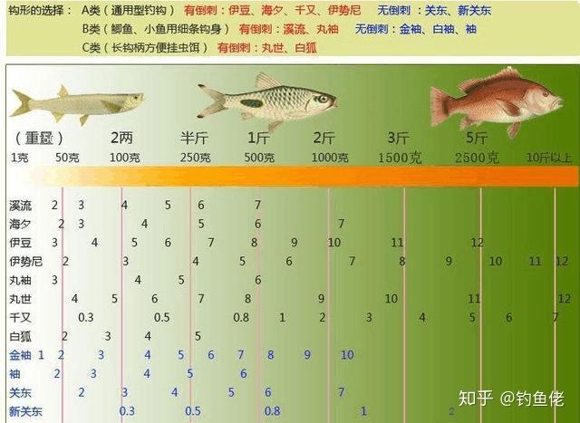 钓鱼分几个等级？-钓鱼新手等级2