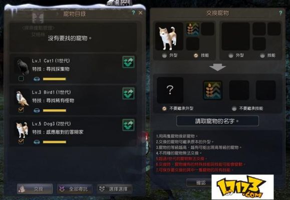 黑色沙漠是黄油吗？-黑色沙漠 新手必买