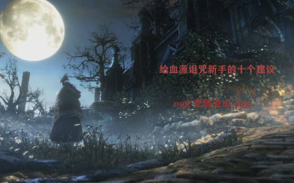 新手玩血源建议？-新手向血源攻略