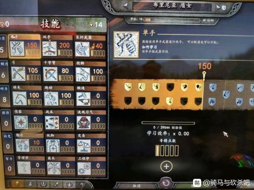 骑马与砍杀汉匈npc组合？-汉匈决战新手村加点
