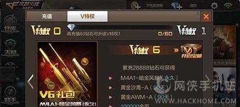 300英雄里vip点的获取？-穿越火线新手邻会员