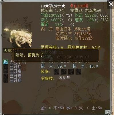 大话西游2没有转可以带什么召唤兽？-大话2以前的新手宝宝