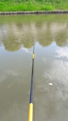钓餐条白丝如何不钓底如何调漂？-新手泡点修改