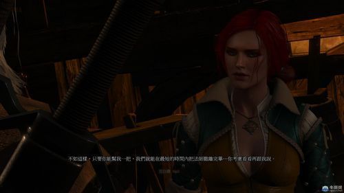 《巫师3》新手技巧，巫师3怎么玩？-巫师3新手要做什么