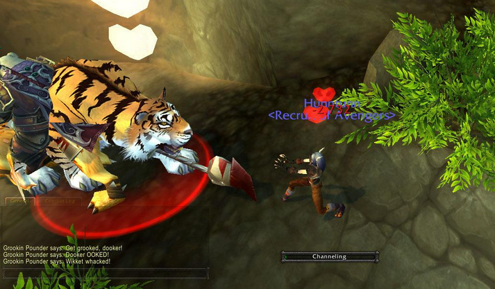 魔兽新手猎人升级带猫科还是熊好啊？-魔兽世界6.2新手猎人