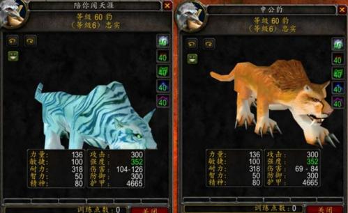 魔兽新手猎人升级带猫科还是熊好啊？-魔兽世界6.2新手猎人