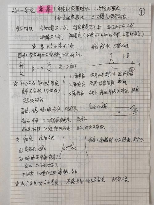 倪师人纪五本先学哪本？-文明 新手先玩哪个