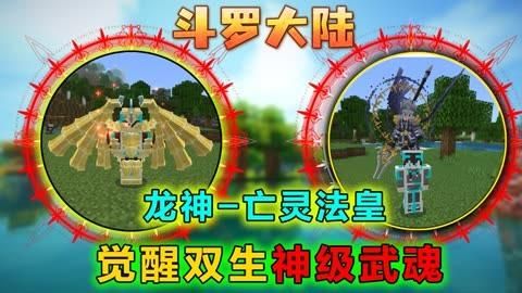 我的世界斗罗大陆怎么武魂附体？-龙之谷新手礼包 激活失败