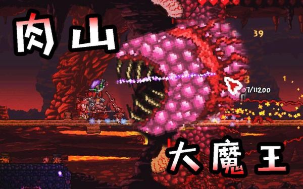 泰拉瑞亚无限打肉山教程？-泰拉瑞亚的肉山新手打法视频