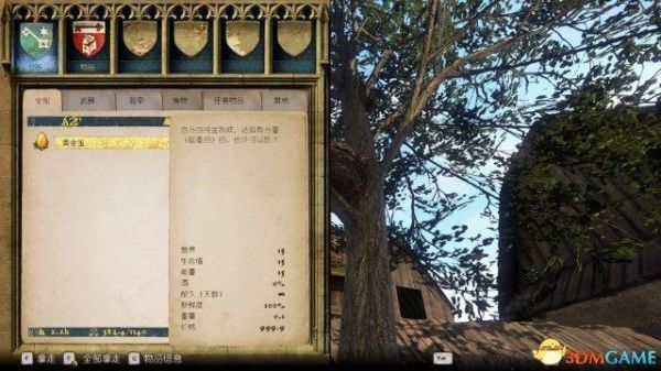 天国拯救处理世俗物品放哪里？-天国拯救新手村必拿