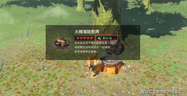 塞尔达暖暖果实怎么抗寒？-塞尔达新手试炼防寒