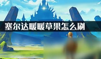 塞尔达暖暖果实怎么抗寒？-塞尔达新手试炼防寒