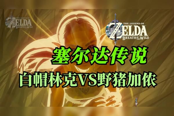 塞尔达野猪一直找不到？-塞尔达 新手村 抓野猪