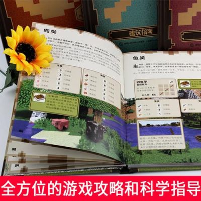rlcraft新手攻略？-我的世界之新手攻略书的图片