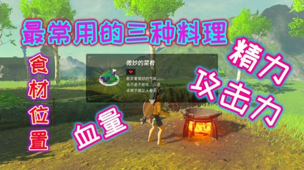 塞尔达收益最高的料理？-塞尔达新手怎么快速钱