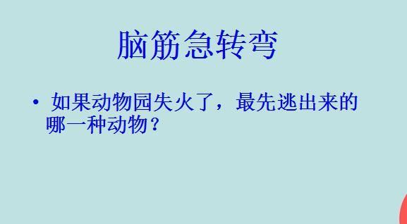 公园里看到的第一个动物是什么，脑筋急转弯？-发现动物公园新手