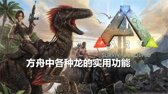 方舟生存进化前期应该抓什么龙好？-方舟新手多少级可以抓龙