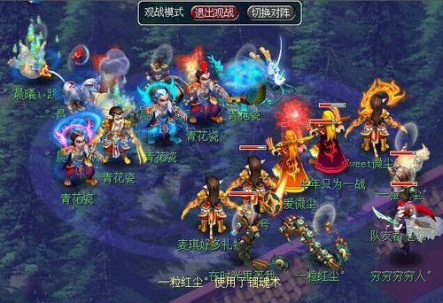 梦幻西游比武PK国标队阵容分析？-梦幻西游新手服pk
