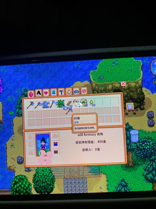 switch星露谷物语港服搜不到？-星露谷物语switch新手