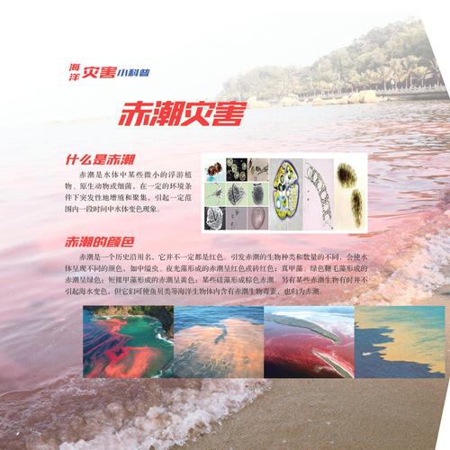 有关大海的标语？-赤潮新手用那个种族