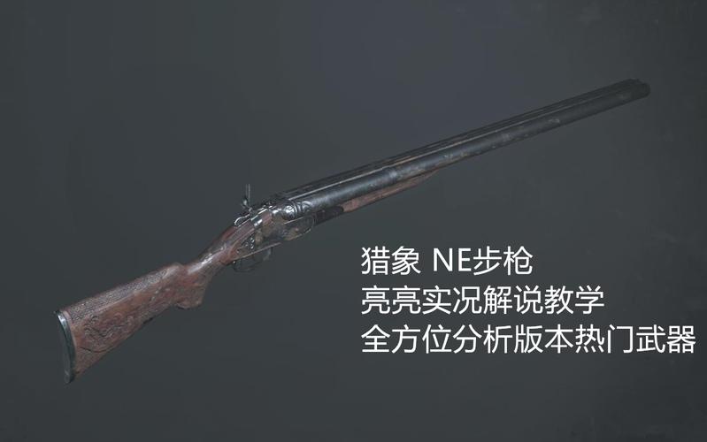 猎杀对决猎象枪叫什么？-猎杀对决 新手