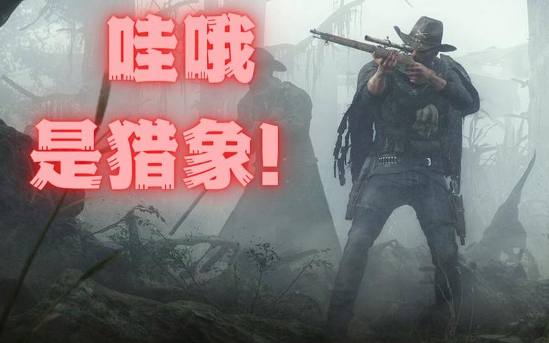 猎杀对决猎象枪叫什么？-猎杀对决 新手