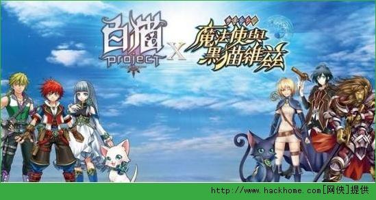 白猫计划角色怎么升五星，角色升5星详解攻略？-白猫计划新手教学在哪