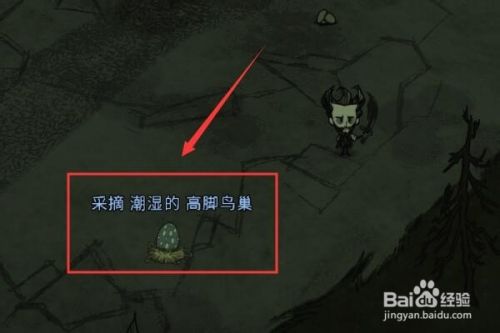 饥荒高脚鸟窝怎么生成？-饥荒视频新手高教鸟