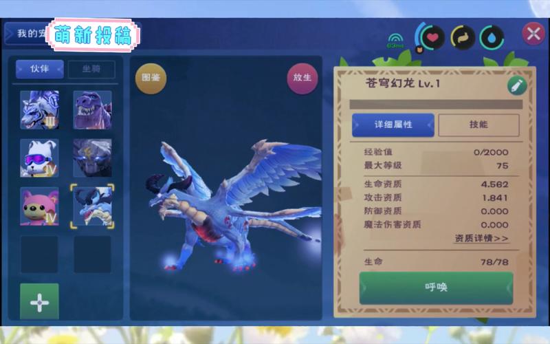 创造与魔法前期最强宠物要什么东西？-创造与魔法适合新手的战宠