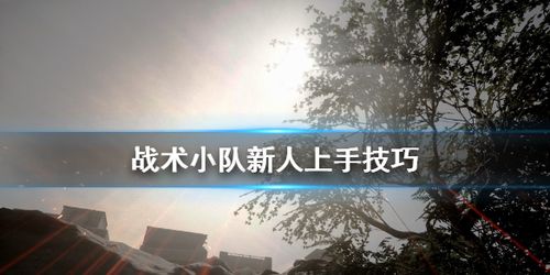 战术小队必须要过新手任务吗？-小队新手期是什么