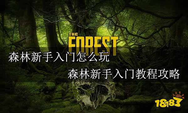 森林新手入门攻略？-森林解说新手视频攻略