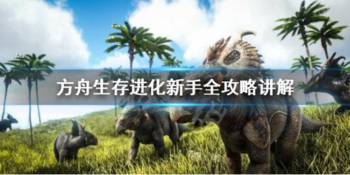 方舟：生存进化生存发展详细攻略新手前期怎么玩？-手游方舟生存进化新手攻略视频