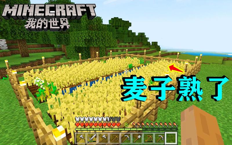 我的世界0.12攻略？-我的世界小麦新手任务