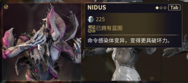 星际战甲新手氪金买什么好？-星际战甲新手买什么划算