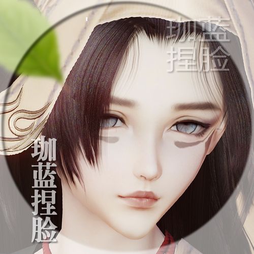 剑网三怎么导入捏脸数据？-剑网三新手捏脸币