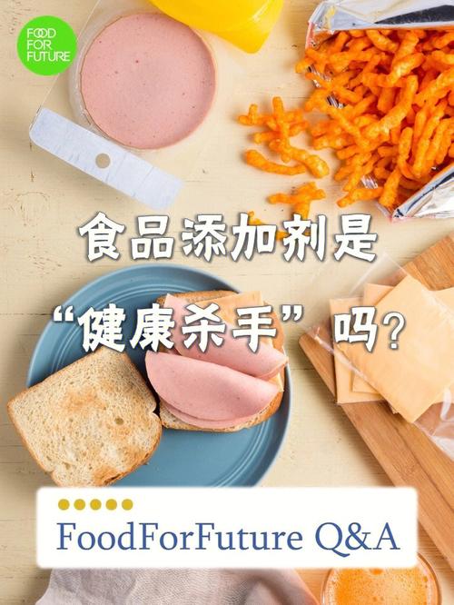 大一品料包属于食品添加剂吗？-一品包大人新手怎么玩
