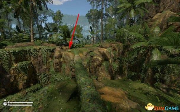 绿色地狱新手怎么摘掉蚂蟥？-绿色地狱新手任务流程