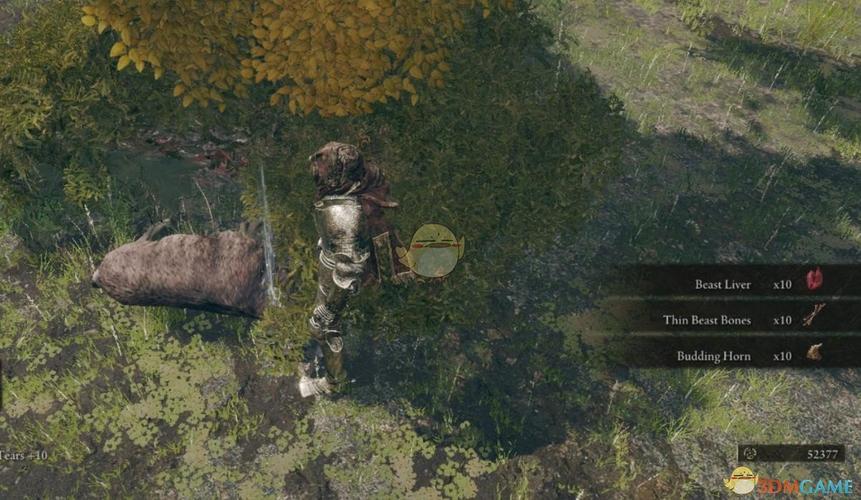 艾尔登法环mod整合工具怎么用？-环世界新手mod推荐