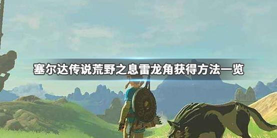 荒野之息怎么杀雷龙？-荒野之息 新手雷龙角
