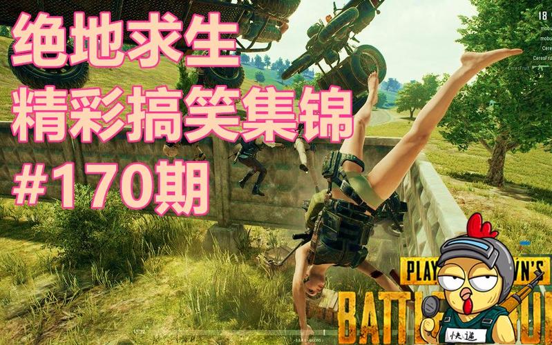 绝地求生文案？-新手绝地求生搞笑图片