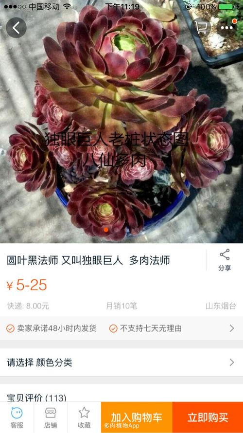 新手最值得入手的法师品种？-新手魔法师无敌版