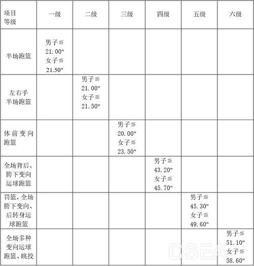 篮球等级标准？-自由篮球新手区等级