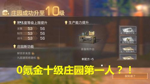 明日之后一人居教程？-明日之后新手任务的视频