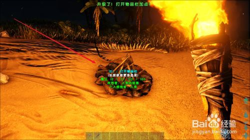 方舟生存进化怎么生火？-方舟新手攻略生火